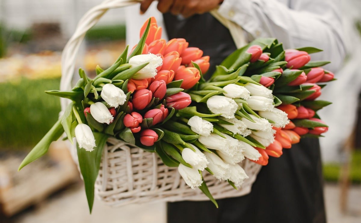 Create your arrangement